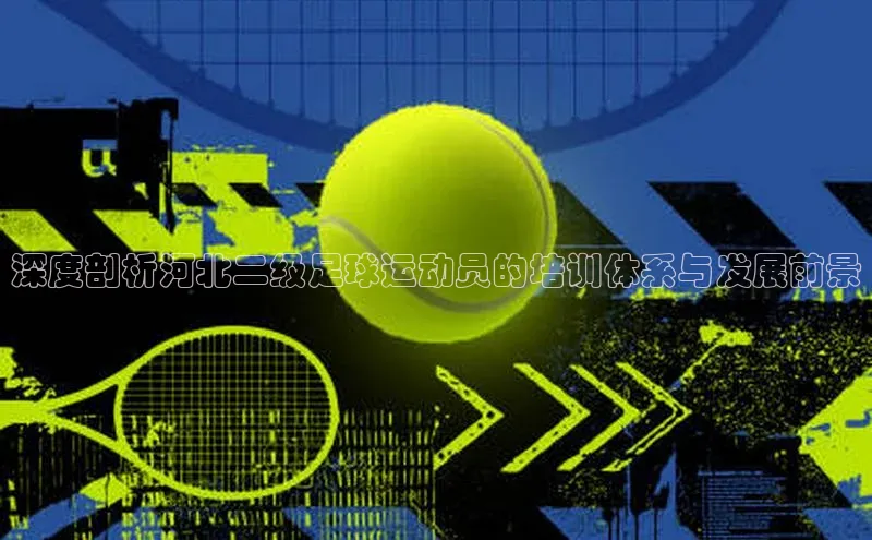 天富平台官网下载极氪智能科技深度剖析河北二级足球运动员的培训体系与发展前景