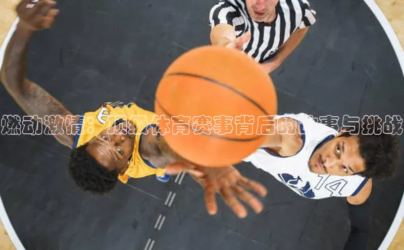 天富测速平台登陆入口梯哥哥科技燃动激情：顶级体育赛事背后的故事与挑战