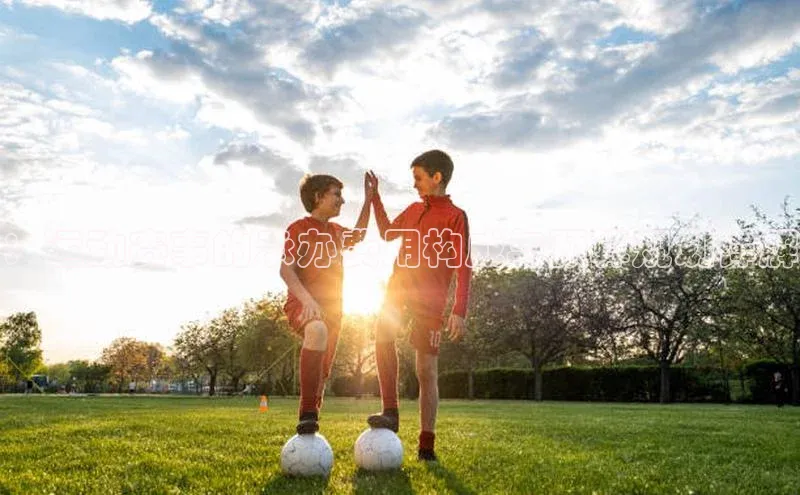 ：运动赛事的承办费用构成与预算规划详解