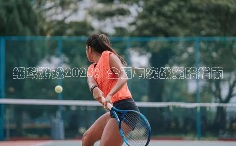 纸鸢游戏2025：全面与实战策略指南