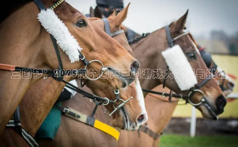 三国梦：2025前的国产三国游戏大展望与挑战