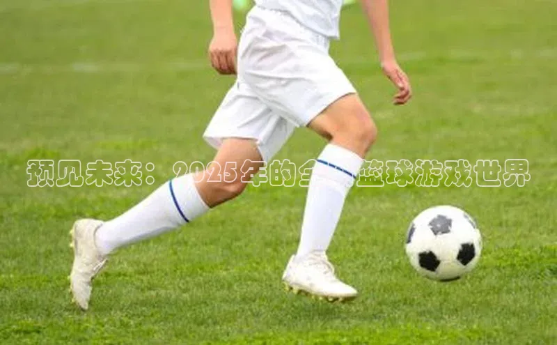 预见未来：2025年的全新篮球游戏世界